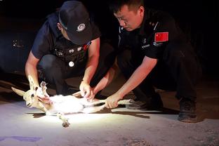 雷电竞苹果版下载截图0